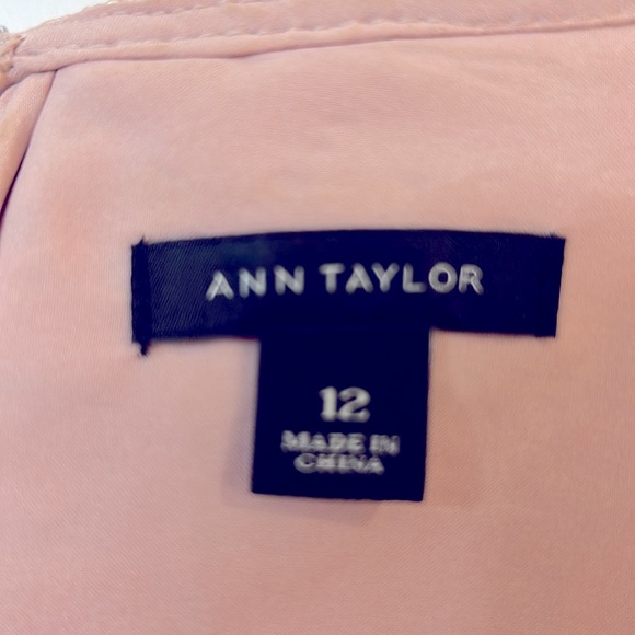 Ann Taylor blush pink lacy cut-out dress, size 12 - Picture 4 of 8